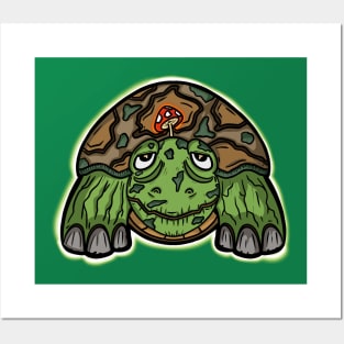 Legendary Turtle Cartoon Character Posters and Art